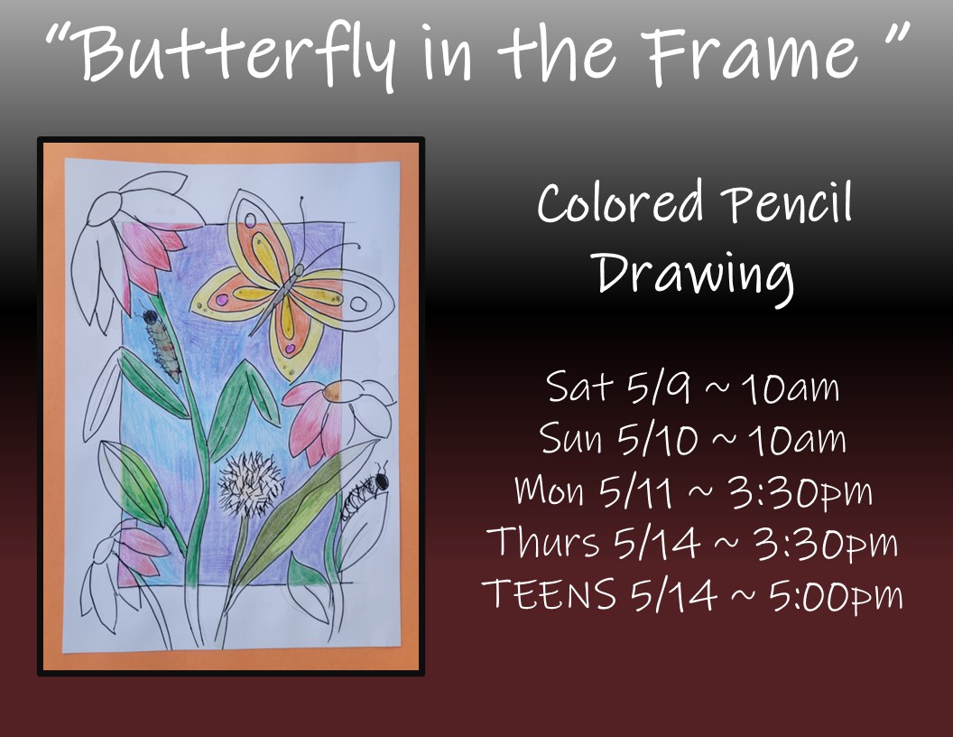 Butterfly in the Frame