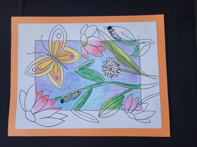 Butterfly in the Frame